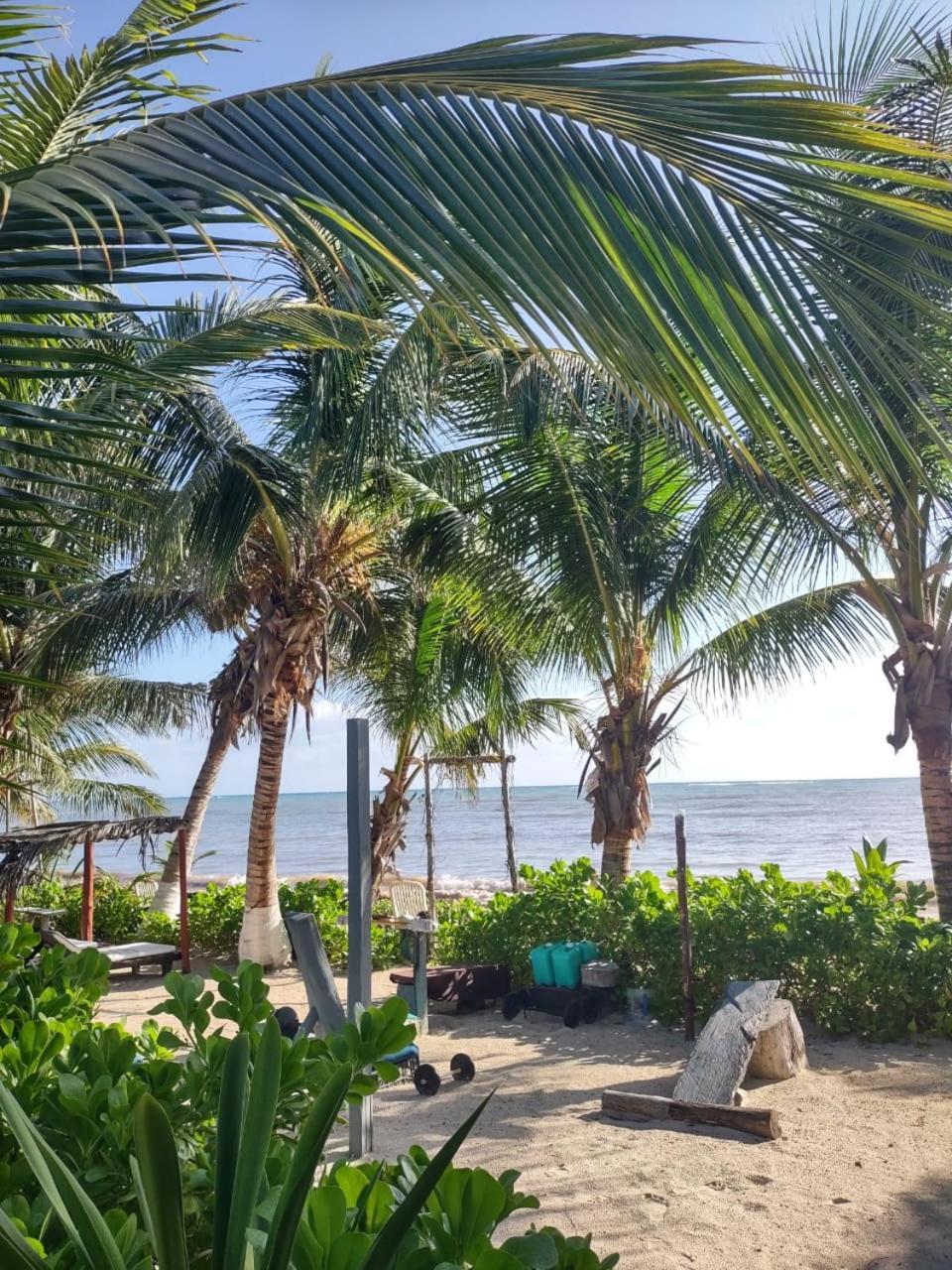 Lunazul Eco-Cabana Frente Al Mar Mahahual Kültér fotó