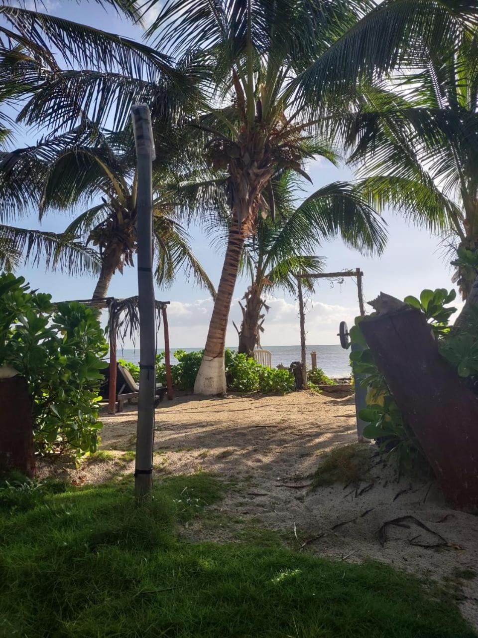 Lunazul Eco-Cabana Frente Al Mar Mahahual Kültér fotó