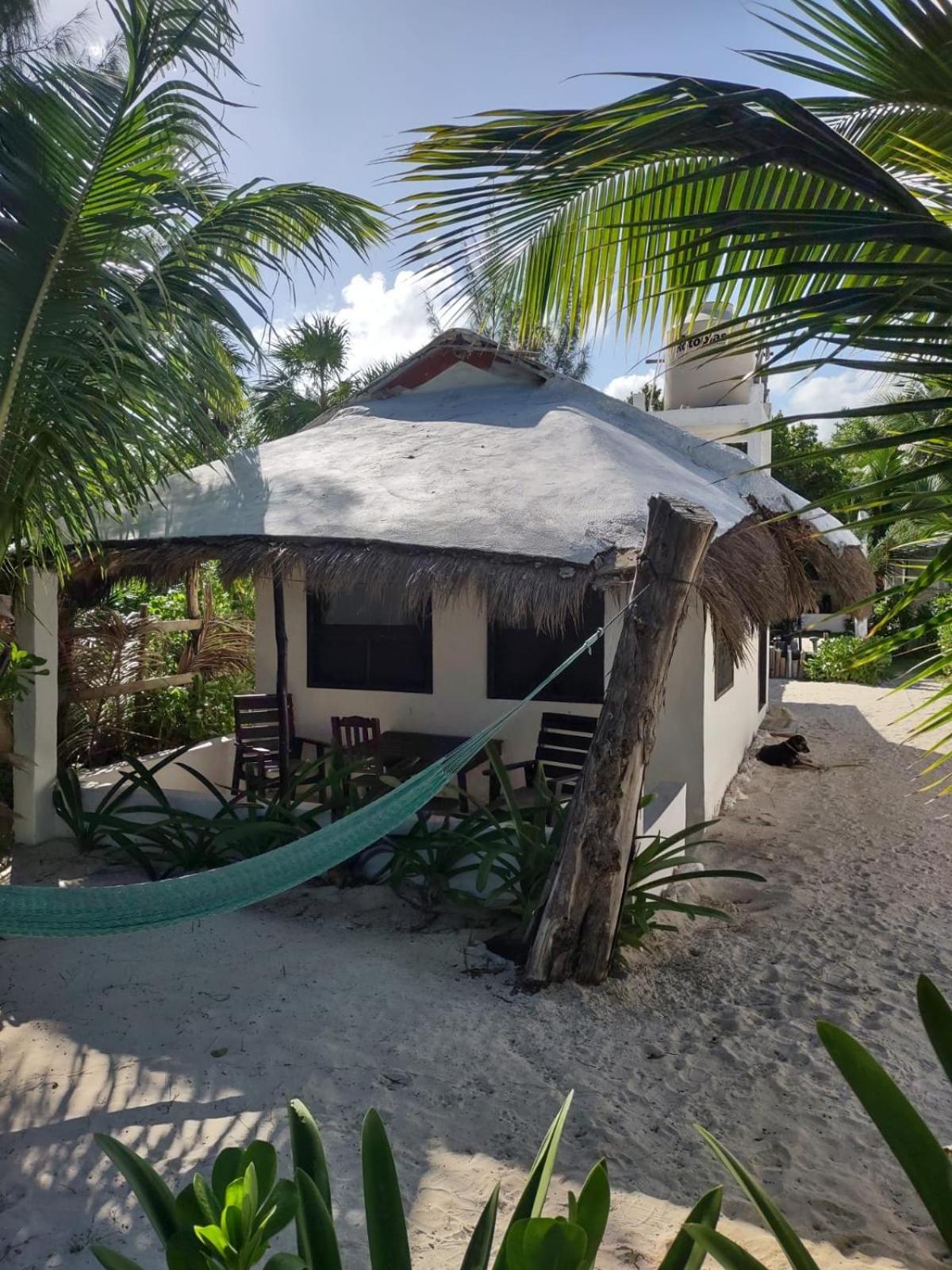 Lunazul Eco-Cabana Frente Al Mar Mahahual Kültér fotó
