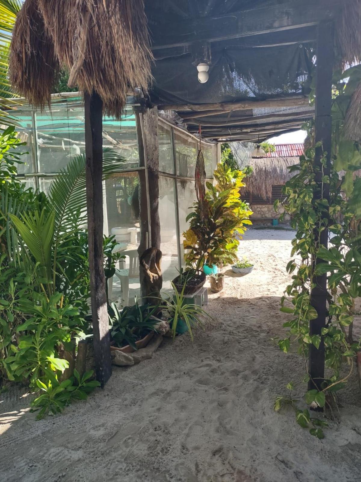 Lunazul Eco-Cabana Frente Al Mar Mahahual Kültér fotó
